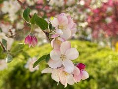 -济南国际园博园