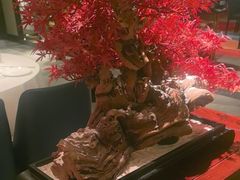 -顺峰(农展馆店)