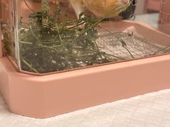 -守诺宠物医院·眼科· 特色牙科·异宠专科(虹口店)