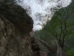 -北京上方山国家森林公园