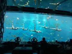 -瑞德姆美人鱼海底演艺主题餐厅(亚龙湾店)