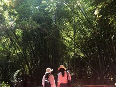 -马洛雷勒花园