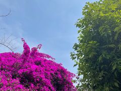 -周老三跷脚牛肉·全牛火锅(非遗传承店)