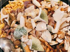 -鲜菌江湖正宗野生菌火锅
