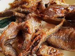 小鱼-阿马土菜馆