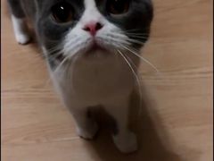 -金逸影城(中关村店)