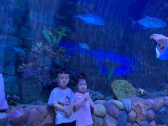 -华夏文旅海洋公园