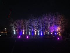 -枫花园汽车电影院(朝阳公园店)