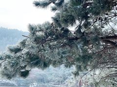 -庐山风景名胜区