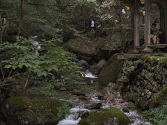 -天目山大树王景区