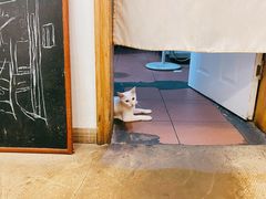 -正南齐北·老街糯米团(洪崖洞店)