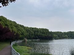 -美兰湖景区