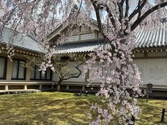 -醍醐寺