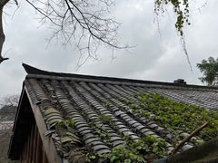 -磁器口古镇