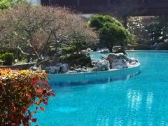 -苏州吴宫泛太平洋酒店