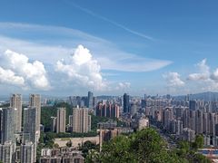 -板樟山森林公园
