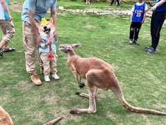 -泉州海丝野生动物世界