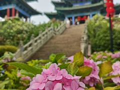 -阅江楼风景区