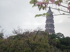 -顺峰山公园