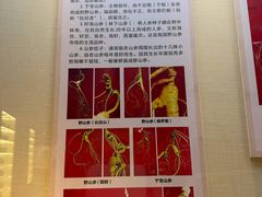 -广东中医药博物馆