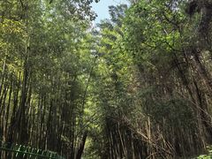 -四门塔风景区