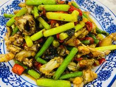 爆炒田鸡-红色湘菜馆(春风店)