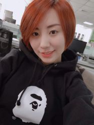 -大象造型