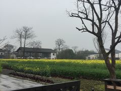 -田园东方蜜桃村的田野营地