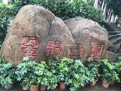 -恩阳古镇