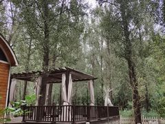 -林栖谷森林康养度假区