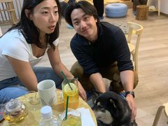 -柴迷FANS CLUB·柴犬狗咖·猫咖