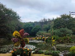 -杭州植物园
