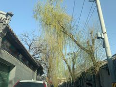 -北京古城老院厉晓麟精致菜