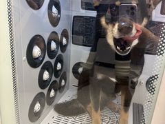 -FAELING PETS美天灵宠物(富力广场店)