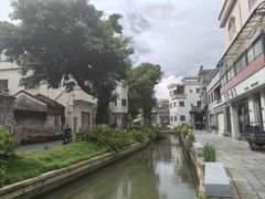 -碧江金楼