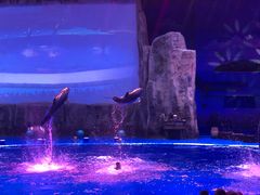 -华夏文旅海洋公园