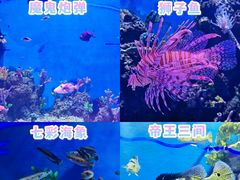-石家庄极地海洋世界
