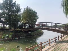 -白洋淀景区