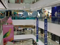 -上海颛桥万达广场