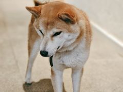 -三目仓咖啡(贤南路店)