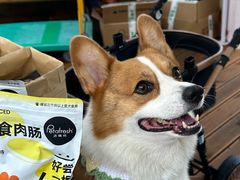 -百年港湾奥特莱斯(香炉礁店)