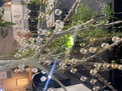 -自贡盐帮菜·玩辣餐厅(樱花园西街店)