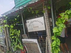 -马陆小张葡萄园农家乐