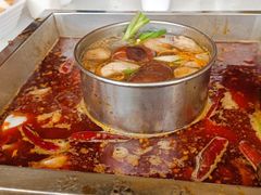 -杨肥肠小火锅(新桥店)