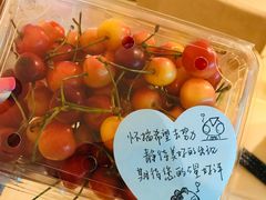 -青青岛鲜果园