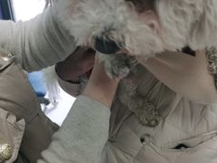 -申普宠物医院·眼科·心内科·影像科(普陀分院)