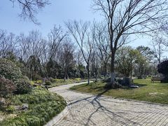 -上海海湾国家森林公园