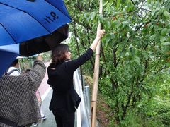 -樱桃山旅游景区