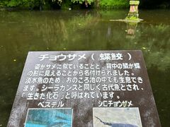-真名井瀑布