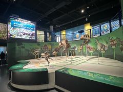 -国家自然博物馆